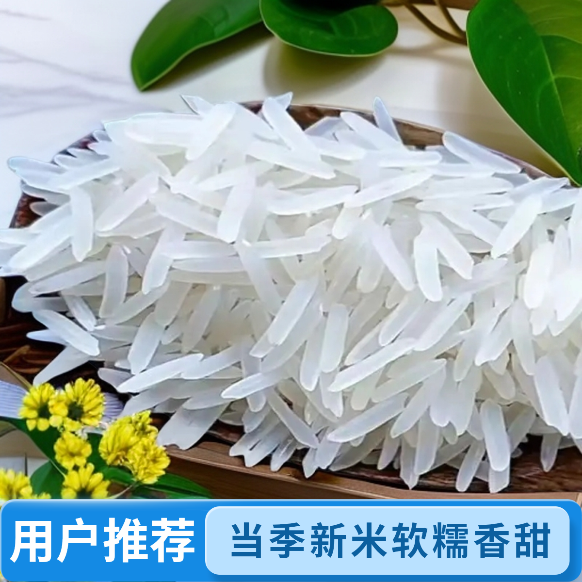 【桂丝香】广西丝香软米当季新米软糯香甜口感好