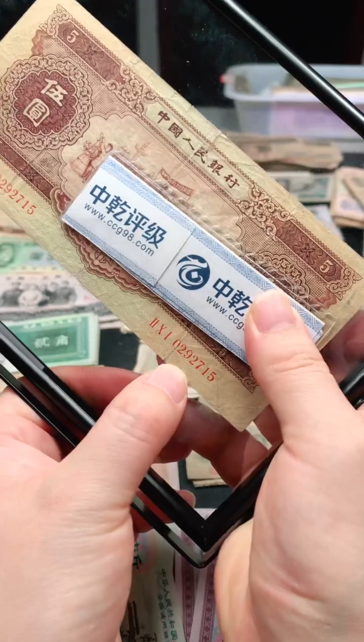 【闪购商品】黄五一张715荀臻直播间旧票福利