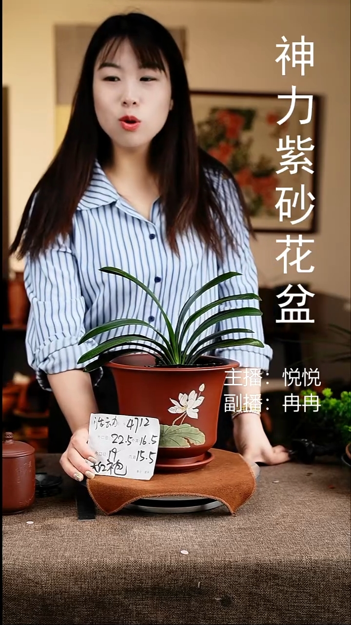 紫砂花盆花卉工艺4712+z