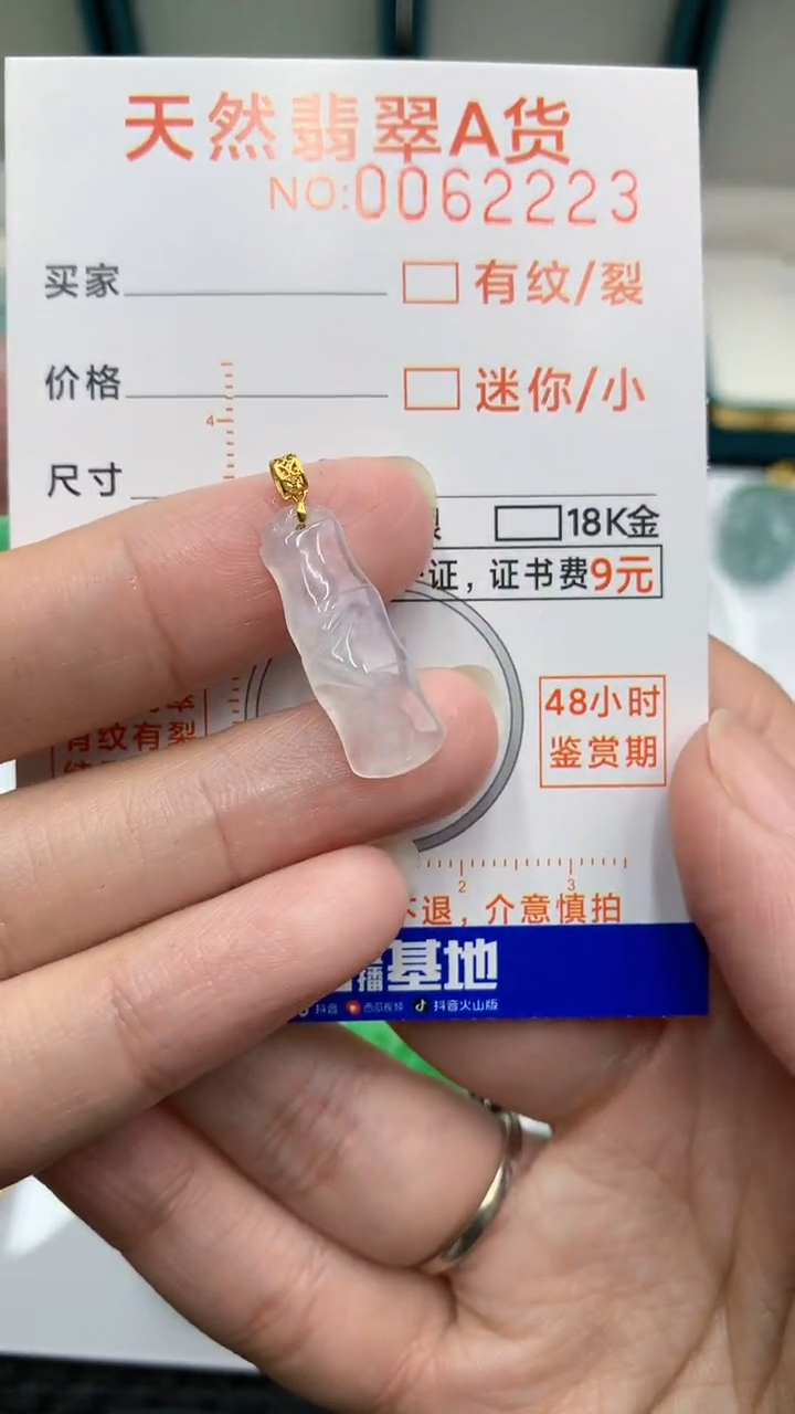 【闪购商品】翡翠颈饰18K金镶嵌            8