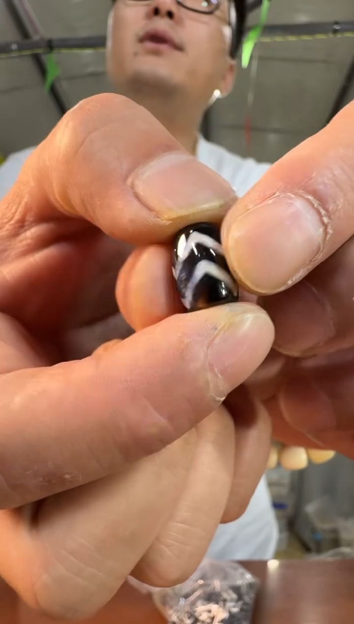 菩提根/象牙果手串A64实物为准