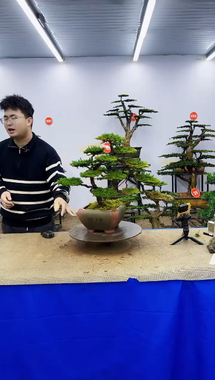 完全开放一物一拍，所见即所得