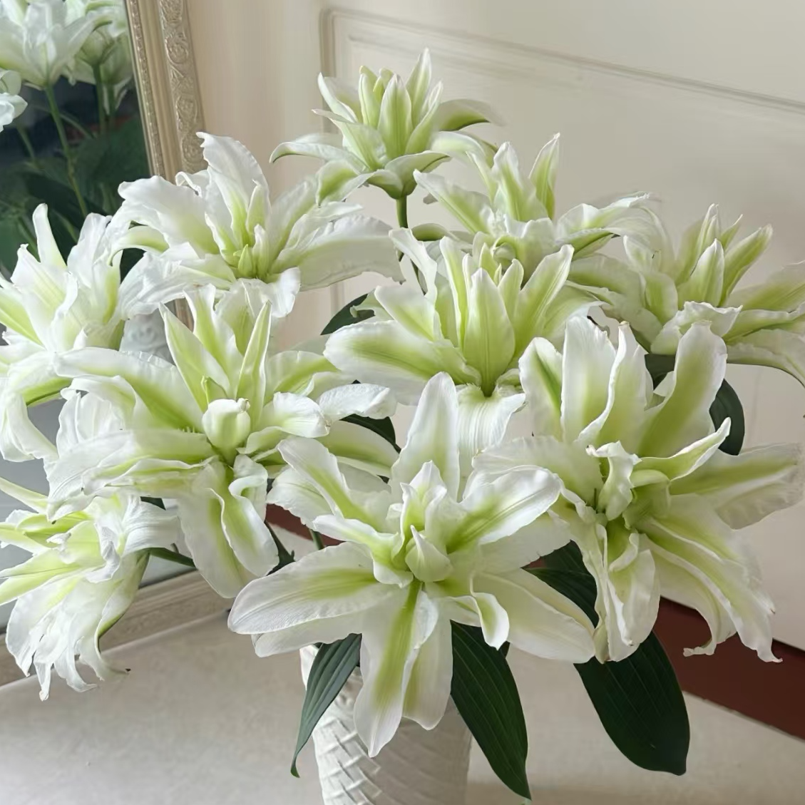 浪漫之约-艾莎多头重瓣百合