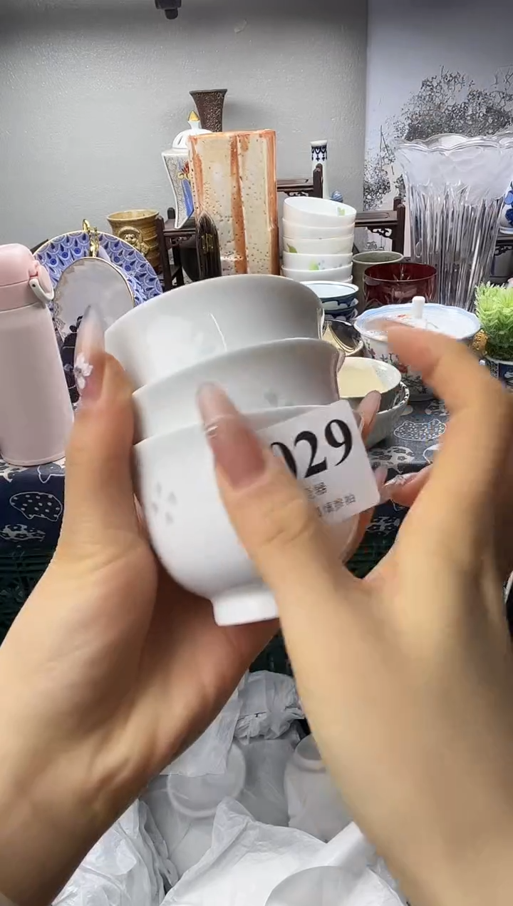 瓷片达**氏  B029