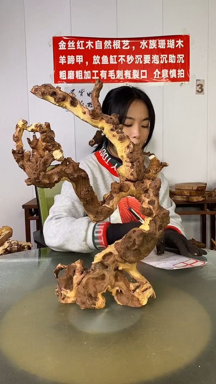 木梅**室金丝红木  羊蹄甲