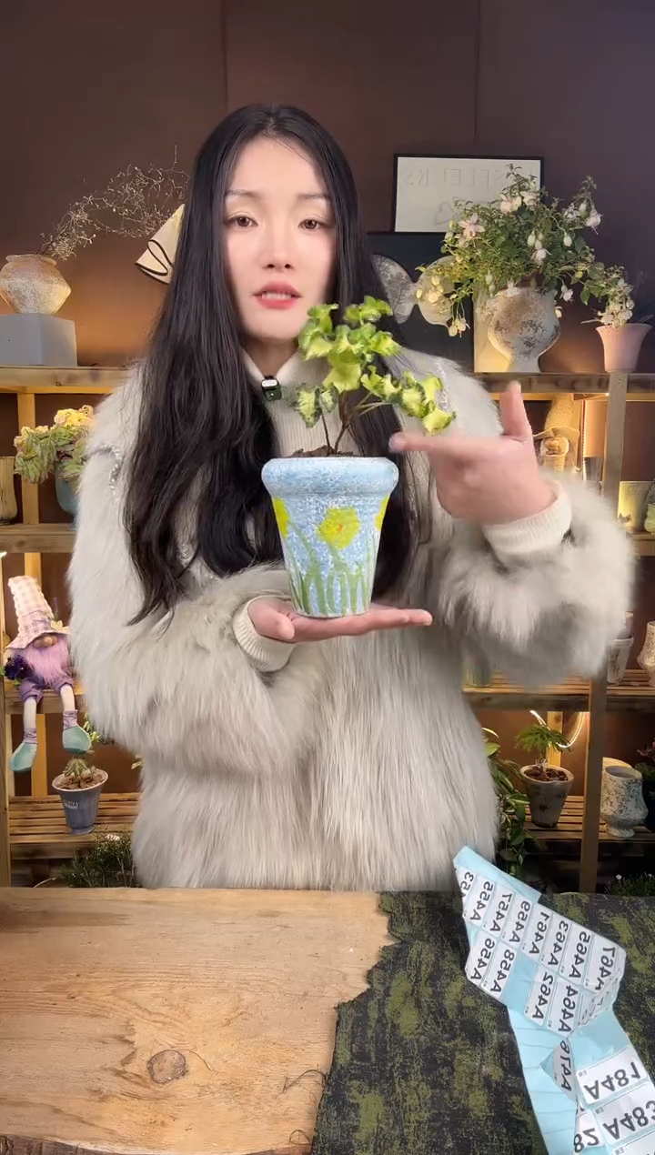 以实际为准月光灯加盆一套114