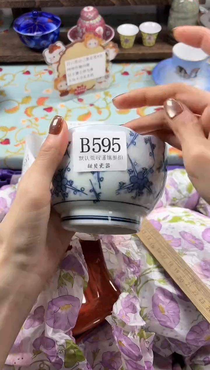 瓷片星*                B595