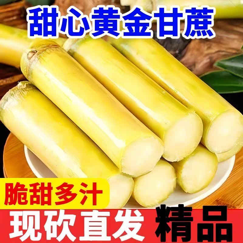 【黄金甘蔗】云南新鲜应季甘蔗水果甘蔗现砍现发清甜多汁肉厚皮薄