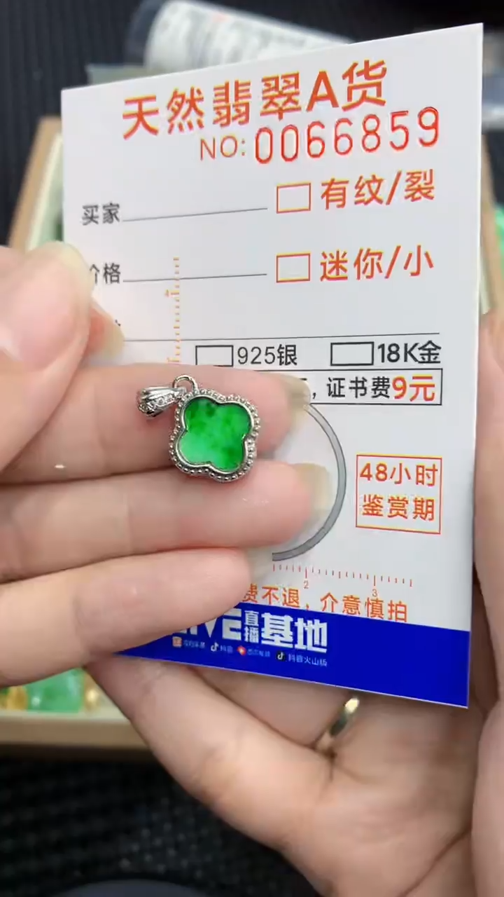 【闪购商品】翡翠颈饰银S925镶嵌            8