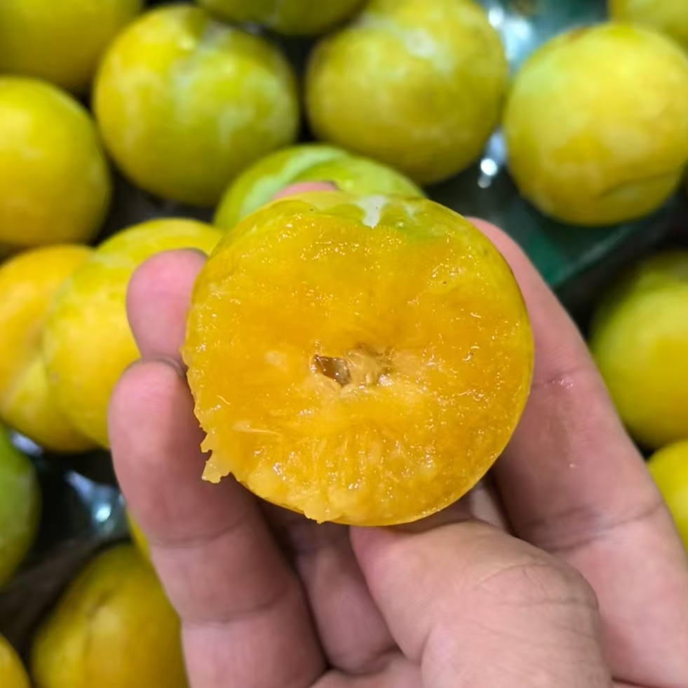【爆款新品】正宗贵州六马蜂糖李新鲜上市【顺丰次日达】李子同城送贵州省