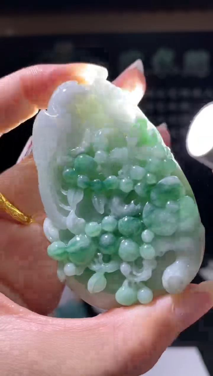 【闪购商品】翡翠颈饰未镶嵌B-@@MFCC021932