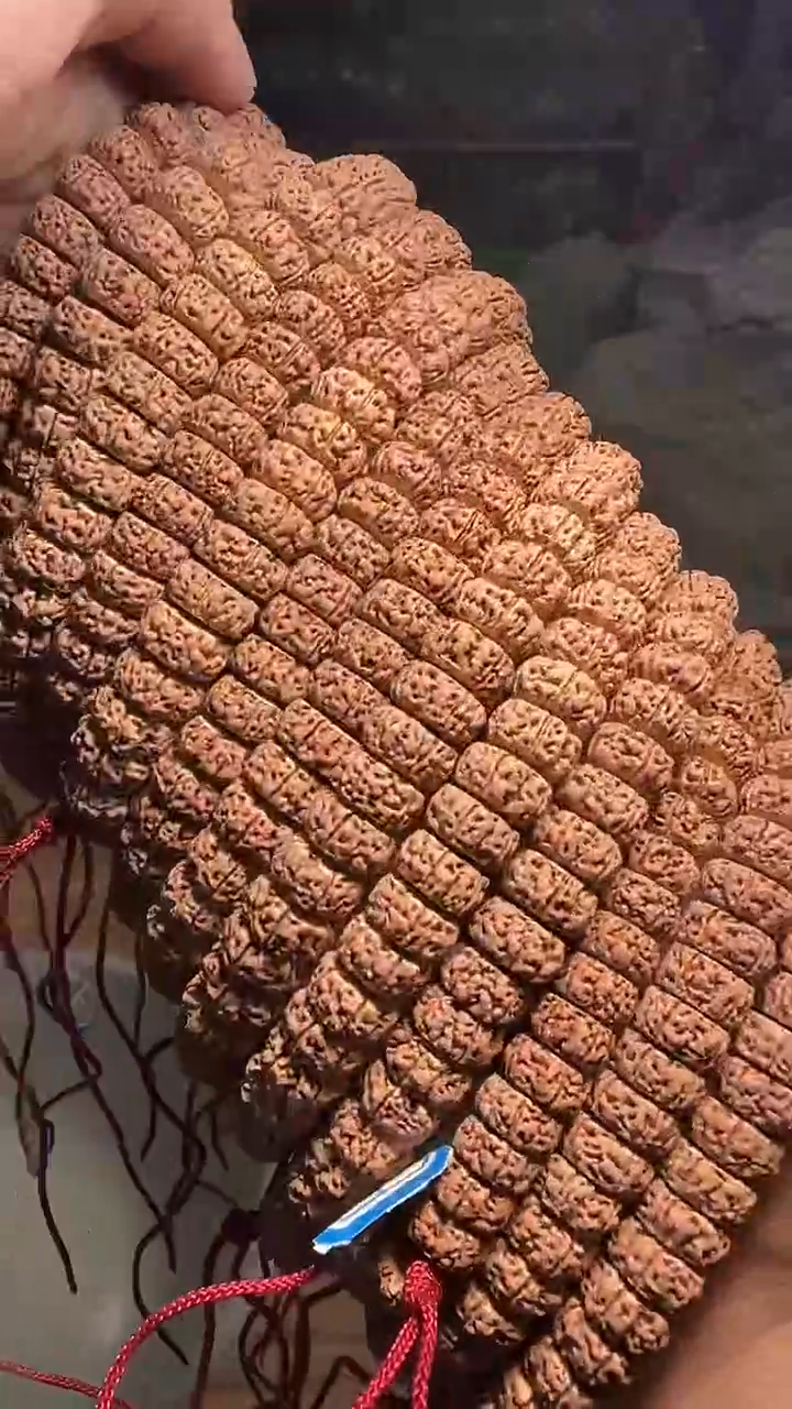 金刚菩提手串超头龙切老树王单圈11-12mm