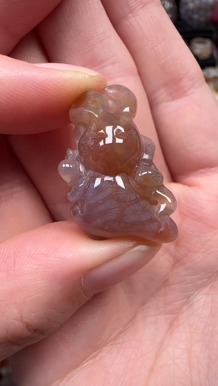 颈饰未镶嵌硅化珊瑚（珊瑚玉）653