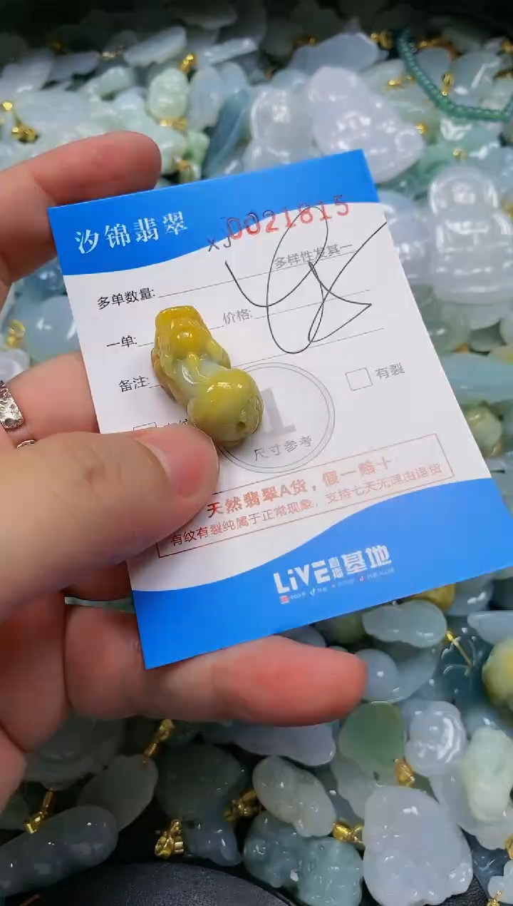 翡翠未镶嵌颈饰闪购商品0021815