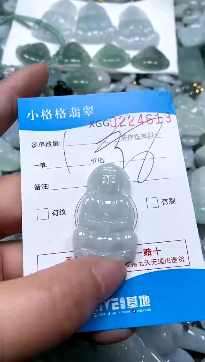 【闪购商品】翡翠颈饰未镶嵌闪购商品0224613