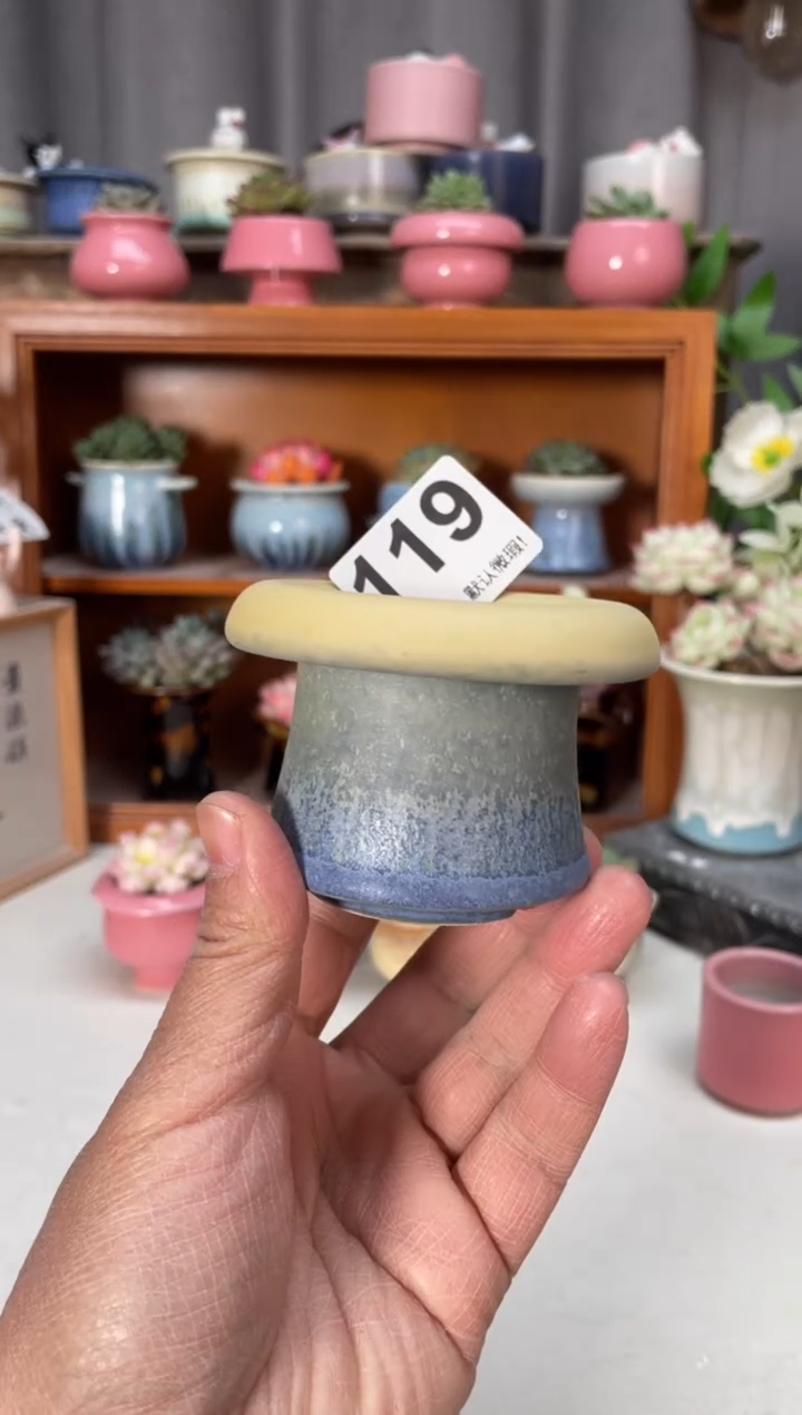 瓷片119小芳直播编号