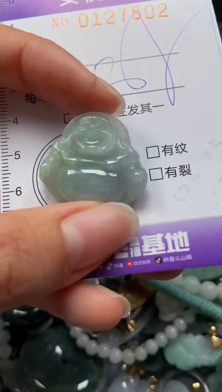 【闪购商品】翡翠颈饰未镶嵌闪购0127502