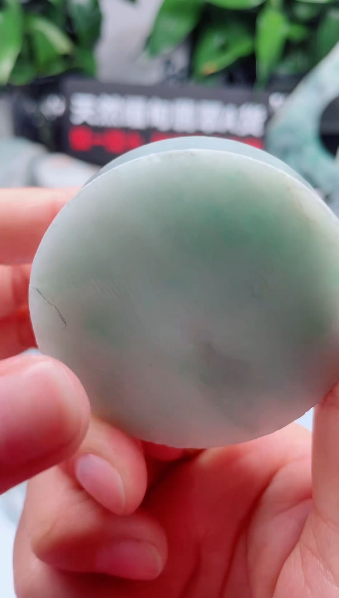 翡翠未镶嵌颈饰华739