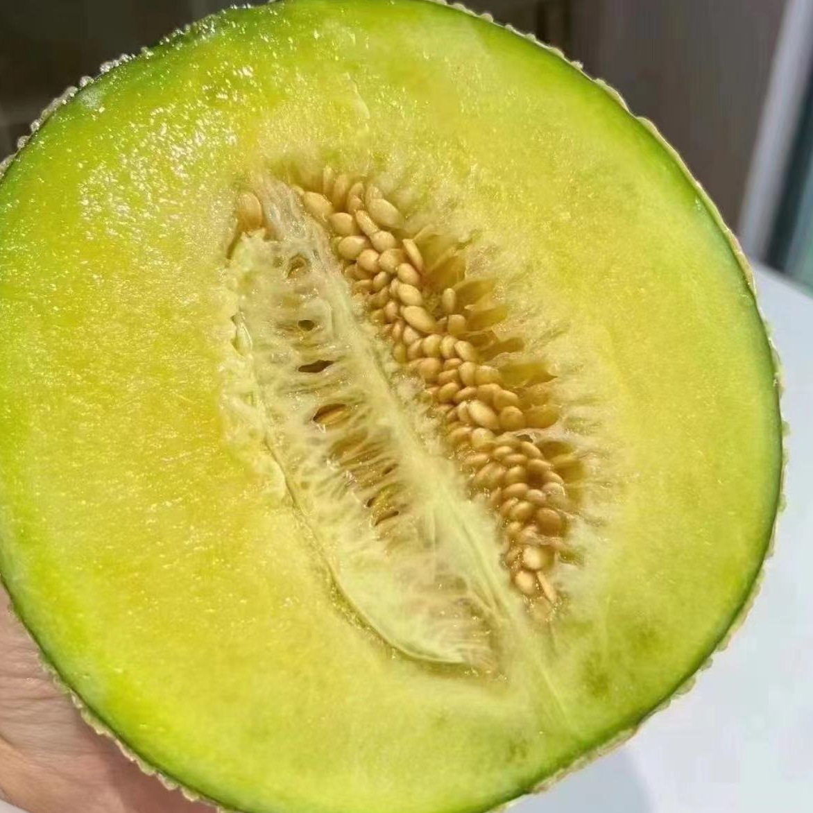 网纹瓜切盒约300克/盒