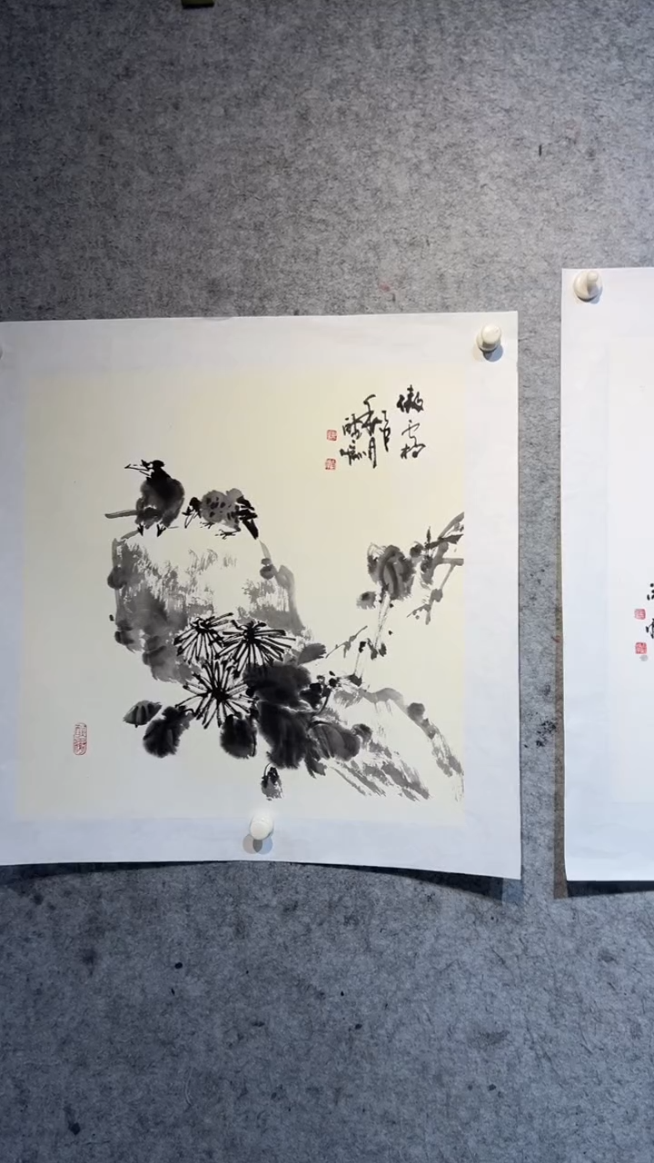 国画澹*张自学水墨国画24