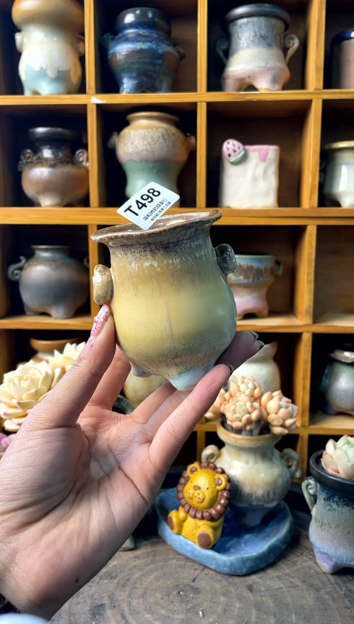 498内口5【多肉花盆多肉盆】