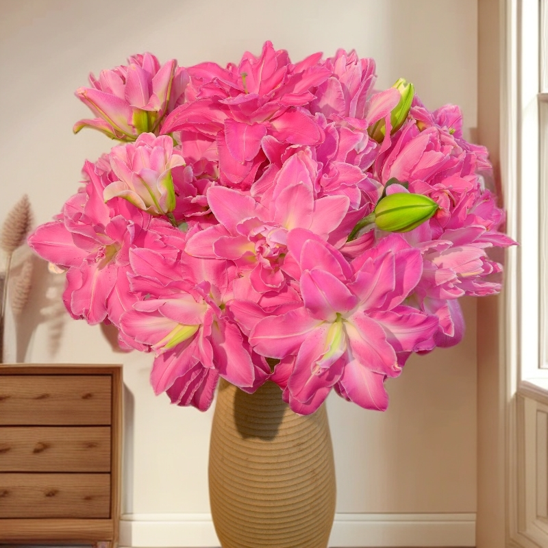云南木木花 莲花惊奇 红色重瓣香水百合花浓香插花家居水养鲜花