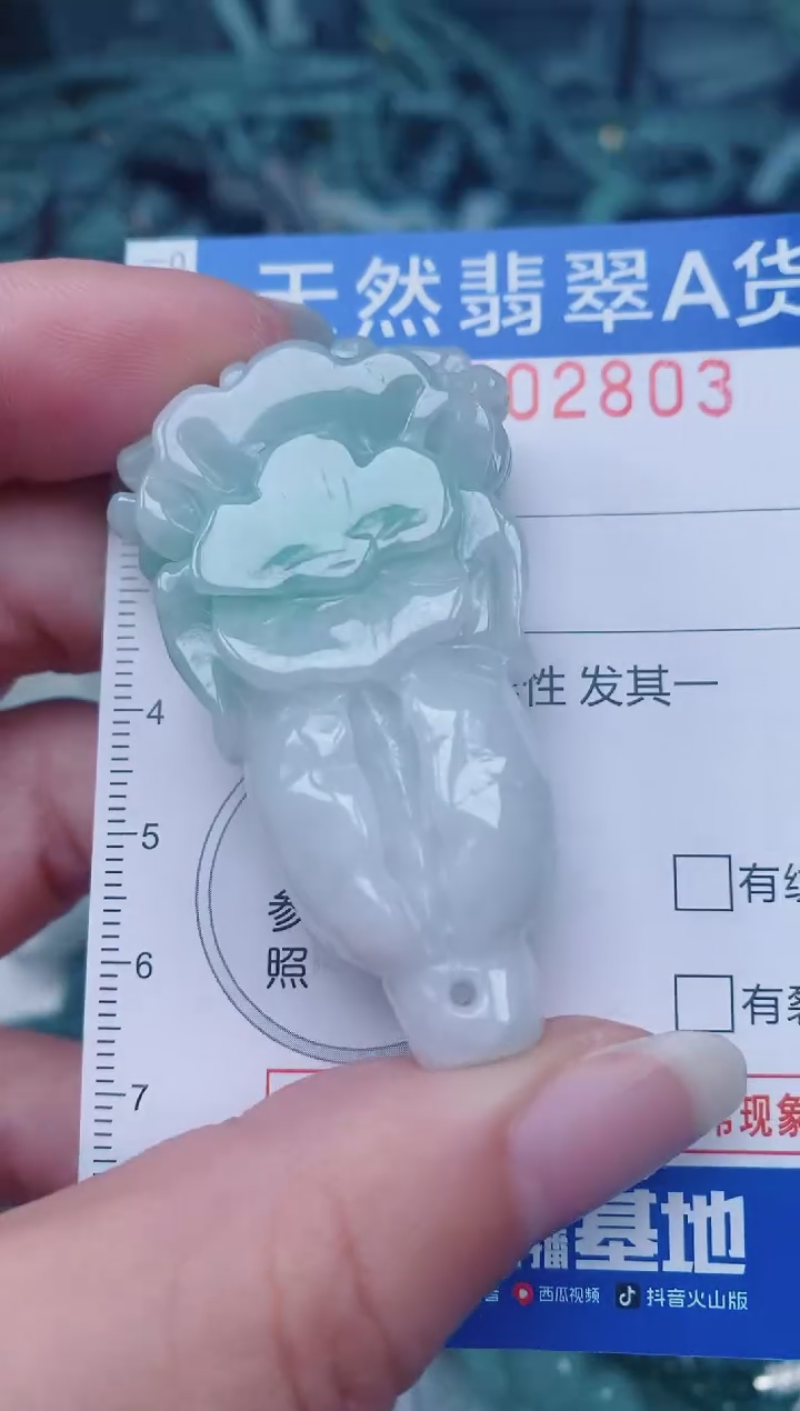 颈饰未镶嵌翡翠00002803