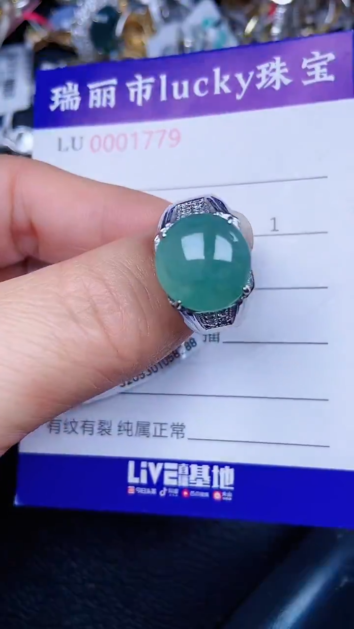 颈饰银S925镶嵌翡翠1779