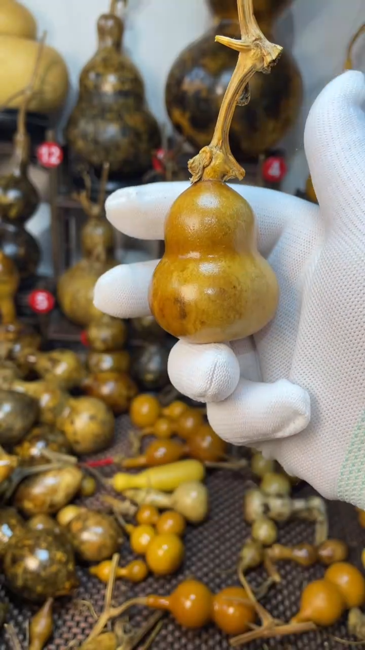 【闪购商品】葫芦葫芦葫芦葫芦葫芦葫芦