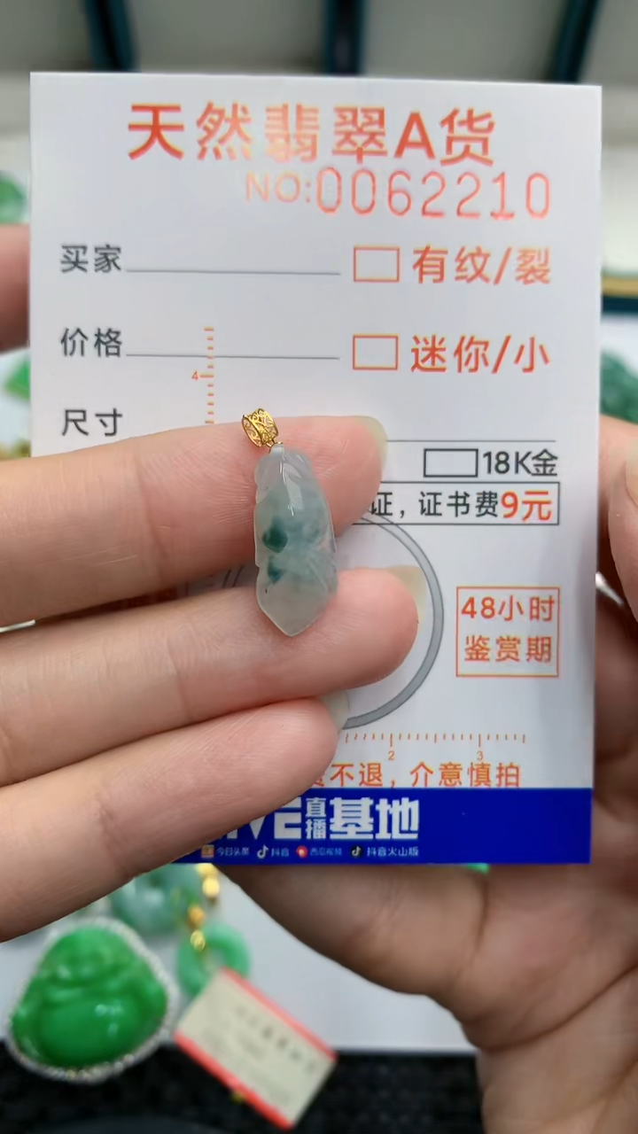 【闪购商品】翡翠颈饰18K金镶嵌            8