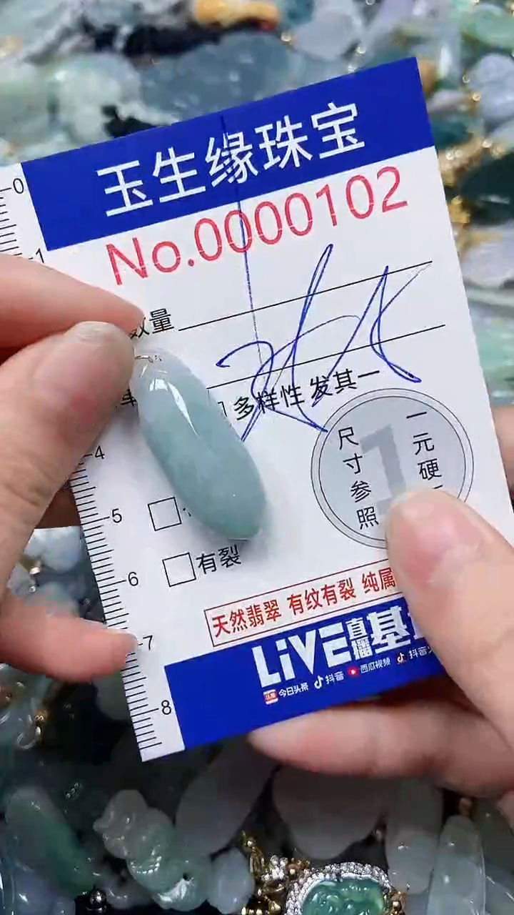 【闪购商品】翡翠颈饰未镶嵌闪购00000102