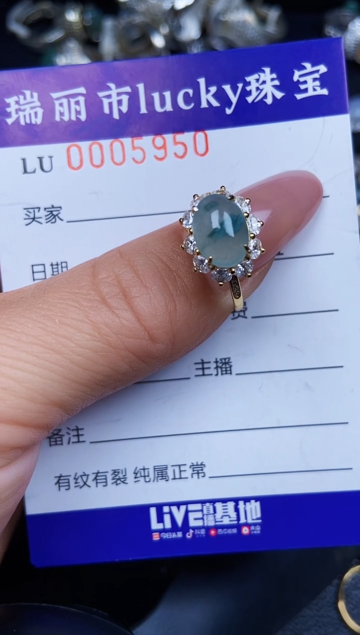 翡翠银S925镶嵌颈饰5950
