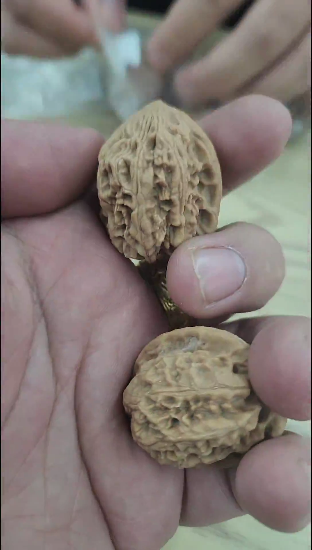 把件核桃个位数福利小平谷野生小尺寸