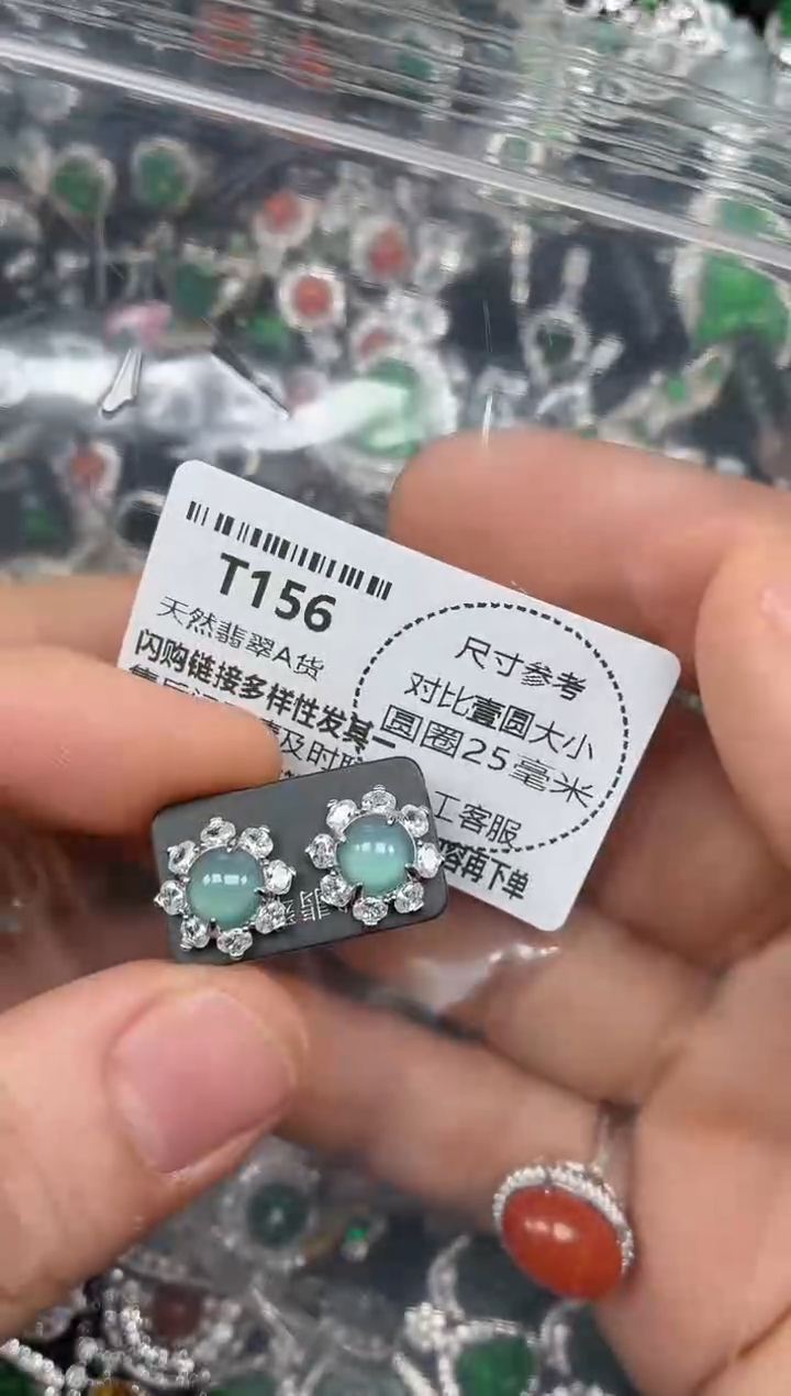 颈饰未镶嵌翡翠T156耳钉