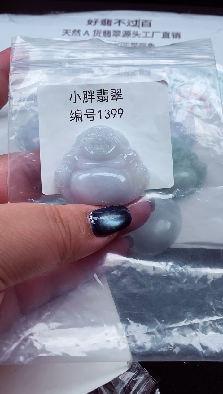 颈饰未镶嵌翡翠缅甸天然A货翡翠1399