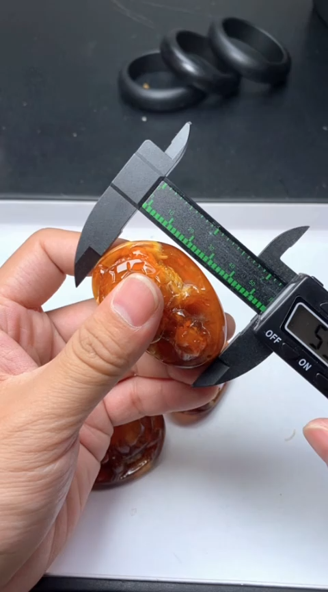 所见即所得149乌龟