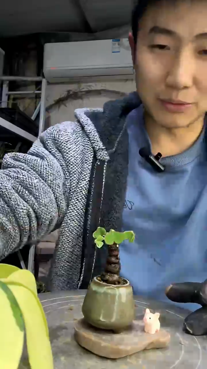 后***们中青园艺一物一拍花161