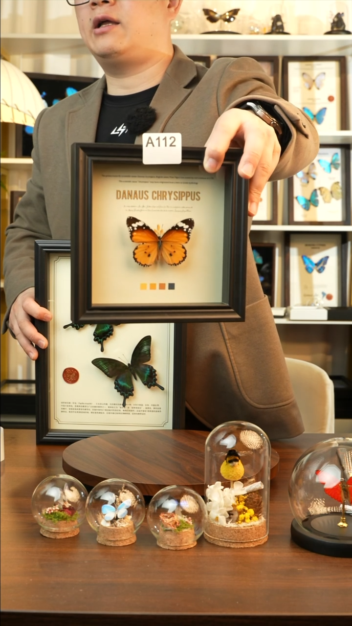 金斑蝶-（6寸方黑色新款框）A112