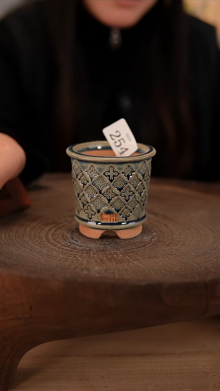 【闪购商品】陶瓷2-25-254默认有瑕口5.5