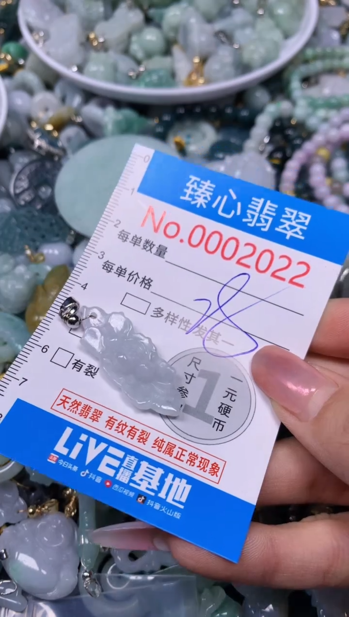 【闪购商品】翡翠颈饰未镶嵌含绳0002022