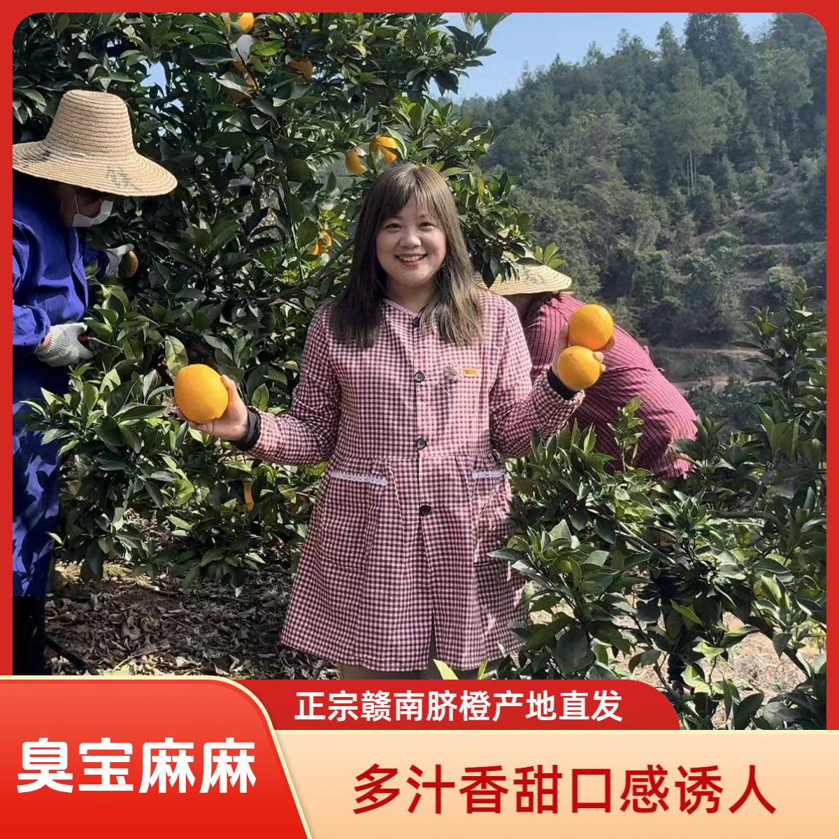 （臭宝麻麻）正宗赣南脐橙应季新鲜橙子产地直发 京东包邮