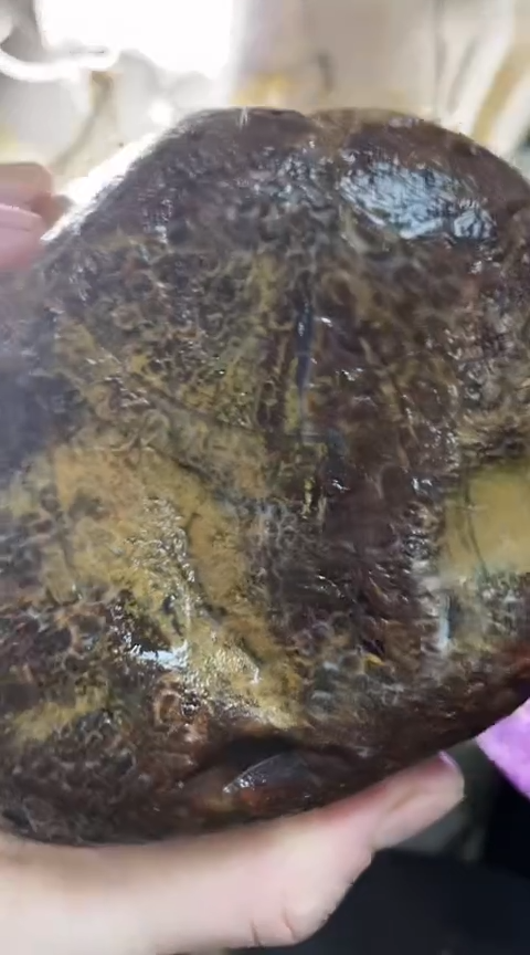 定制玛瑙霞*6063镯4001836