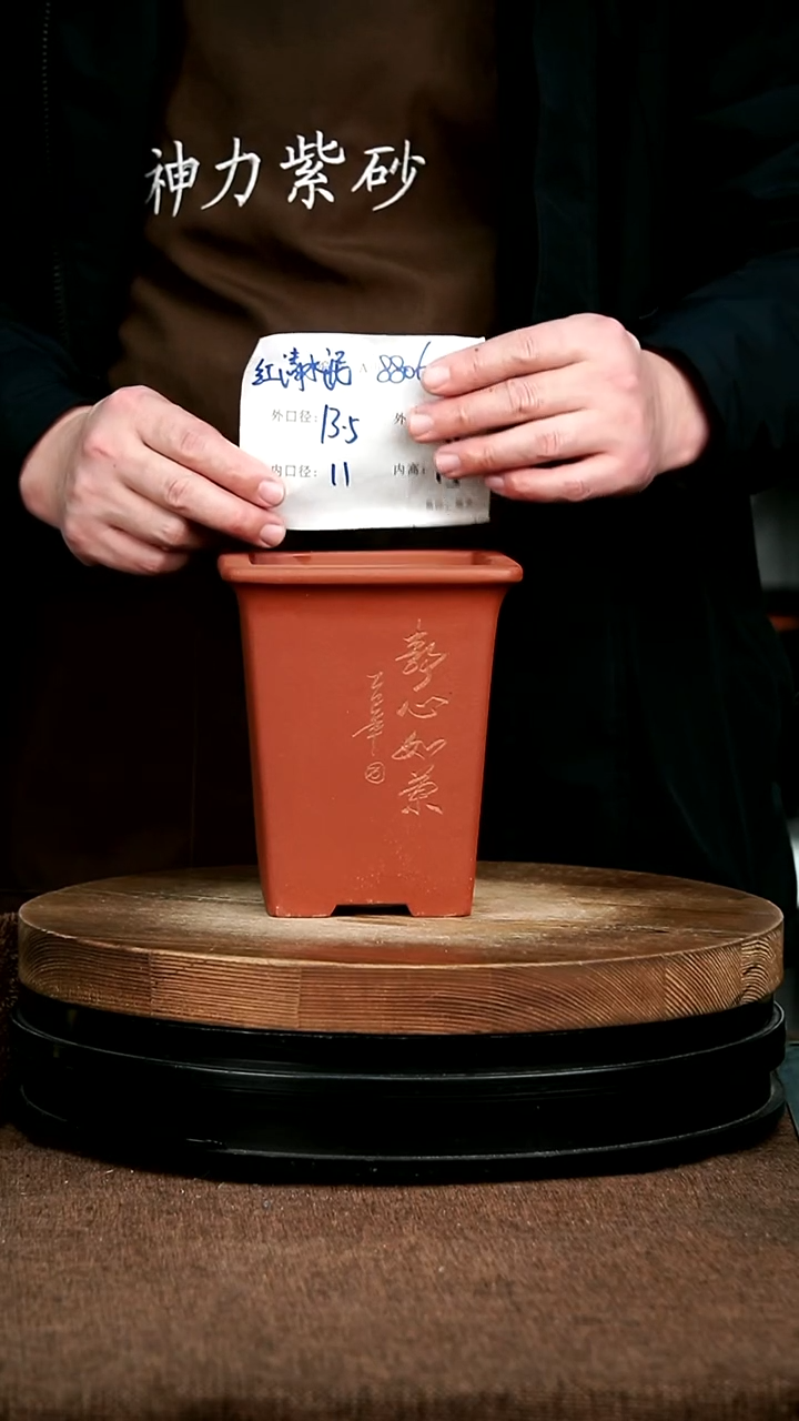 紫砂花盆花卉园艺8806