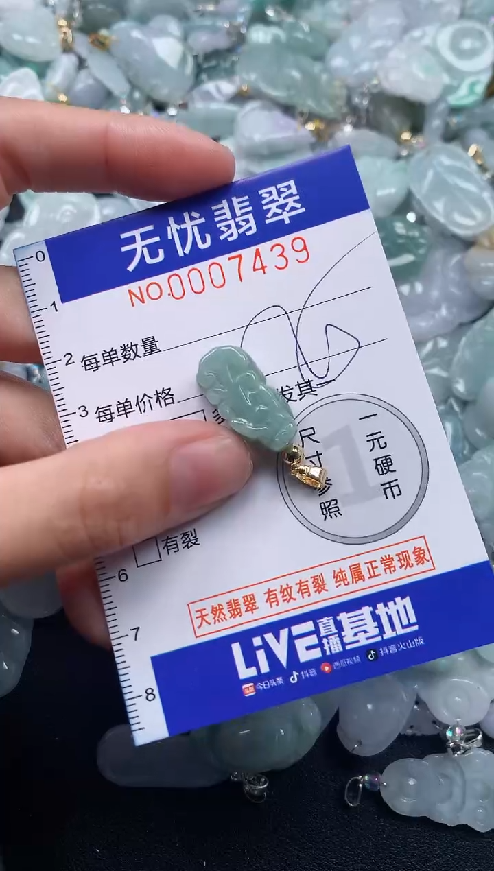 颈饰未镶嵌翡翠7439