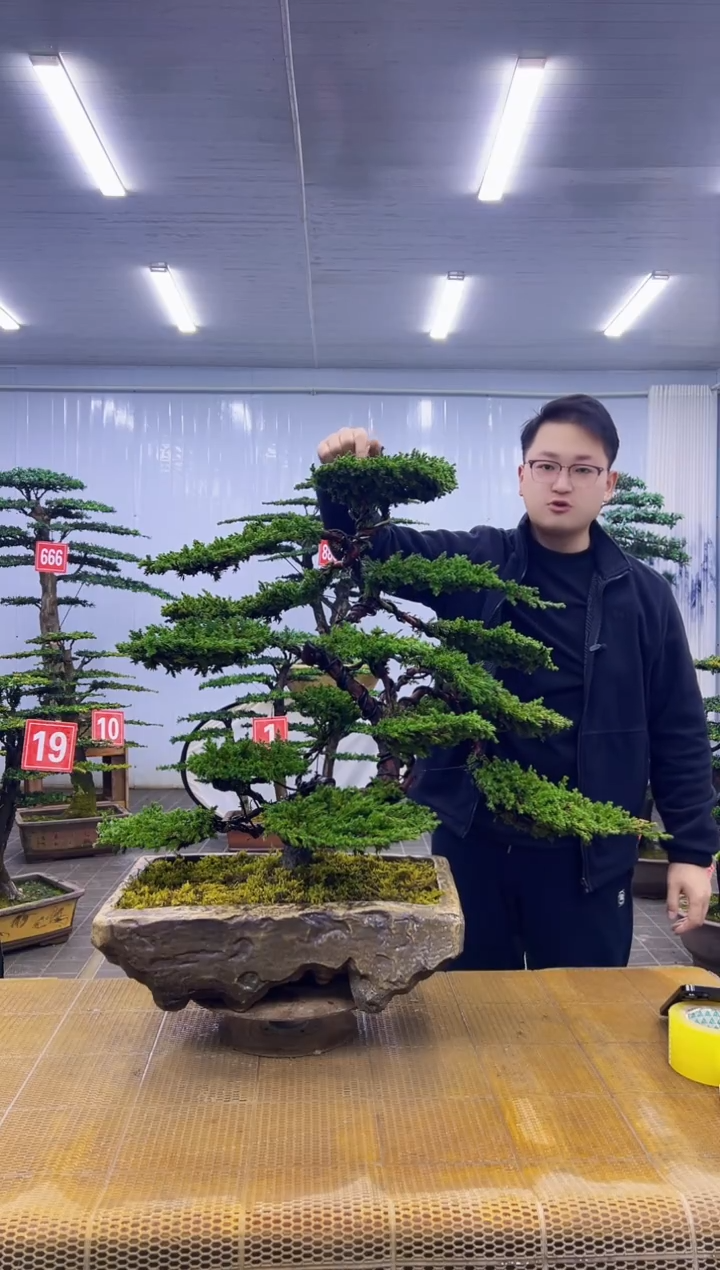 无花朵明**好000000000000000
