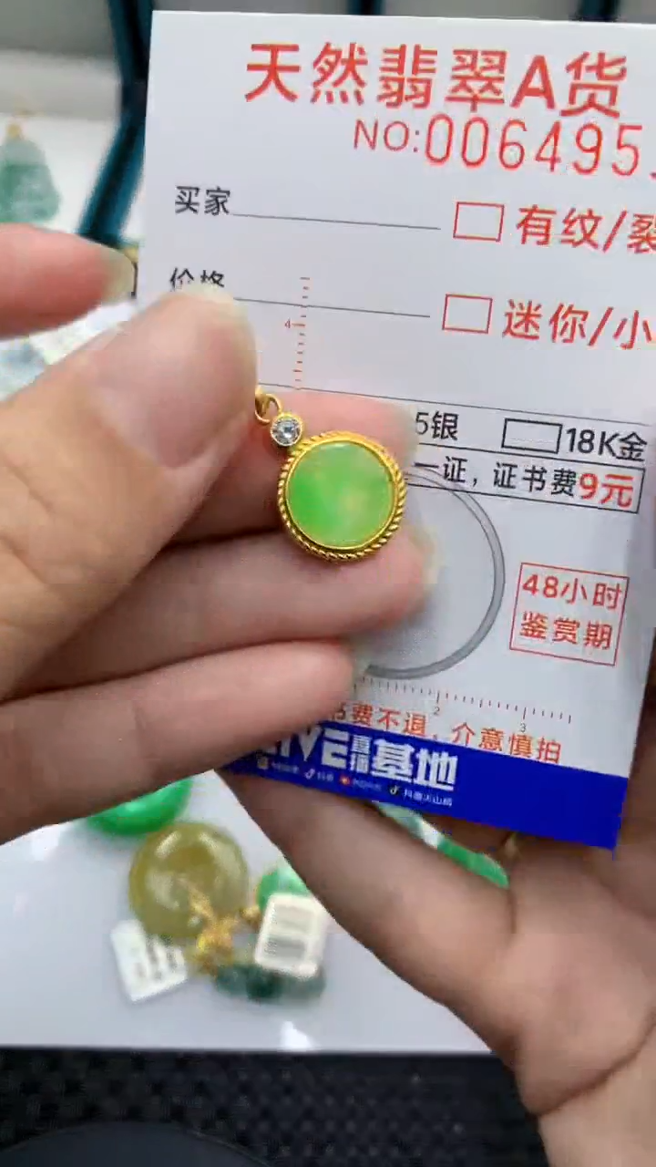 【闪购商品】翡翠颈饰银S925镶嵌            8