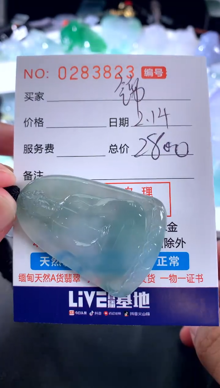 【闪购商品】翡翠颈饰未镶嵌锦
