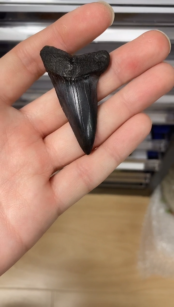 666666666666666666666666666666666666666