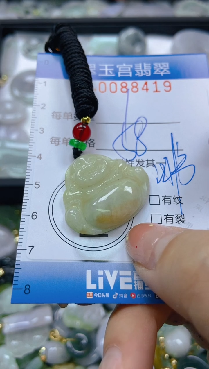 【闪购商品】翡翠颈饰未镶嵌闪购0088419