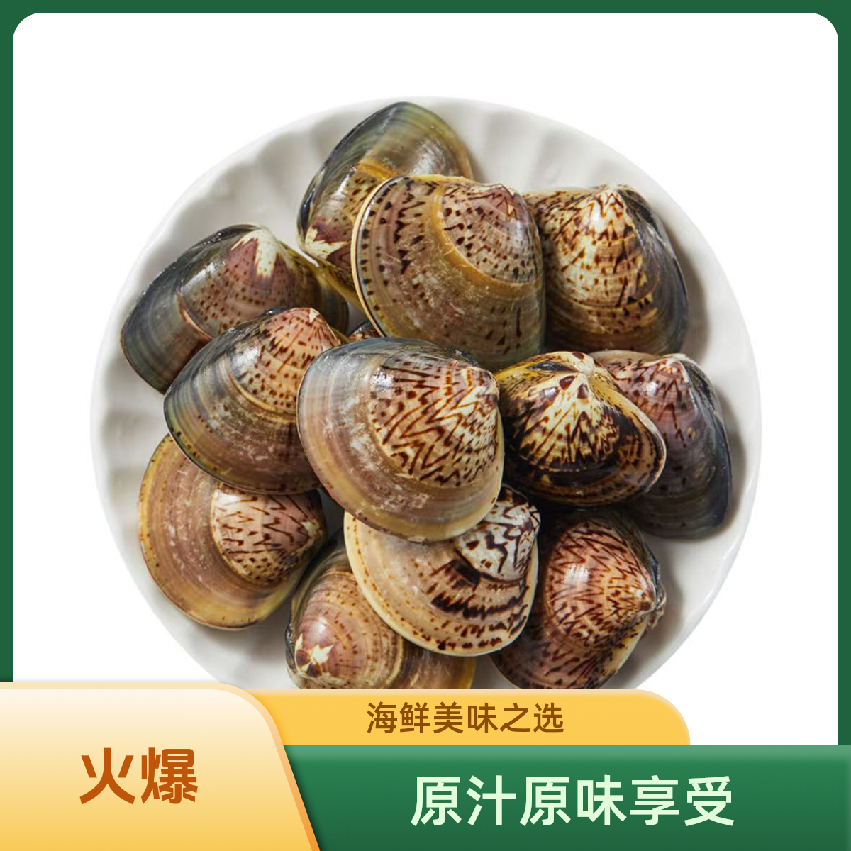 鲜活文蛤500克